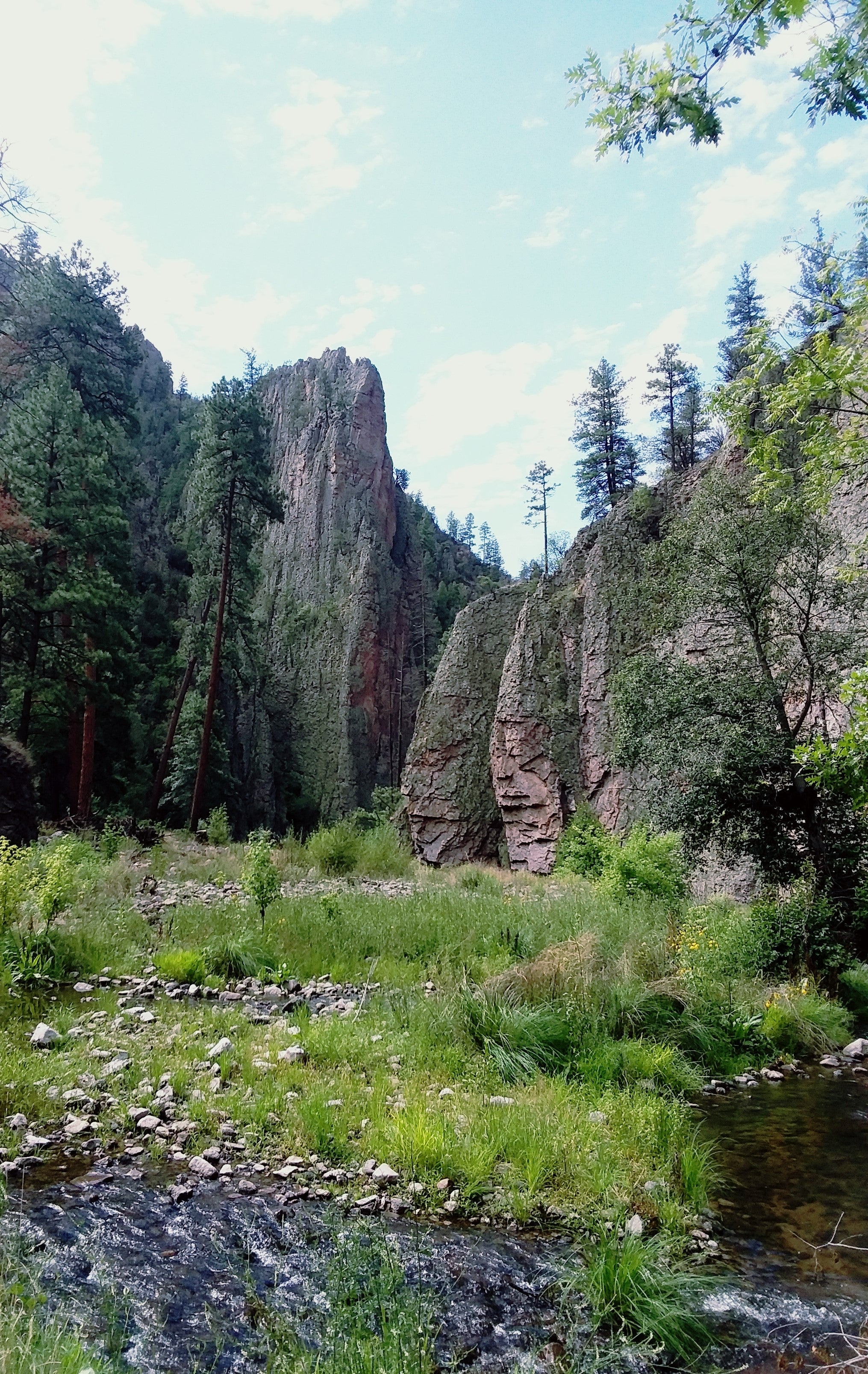 Gila wilderness outlet loop