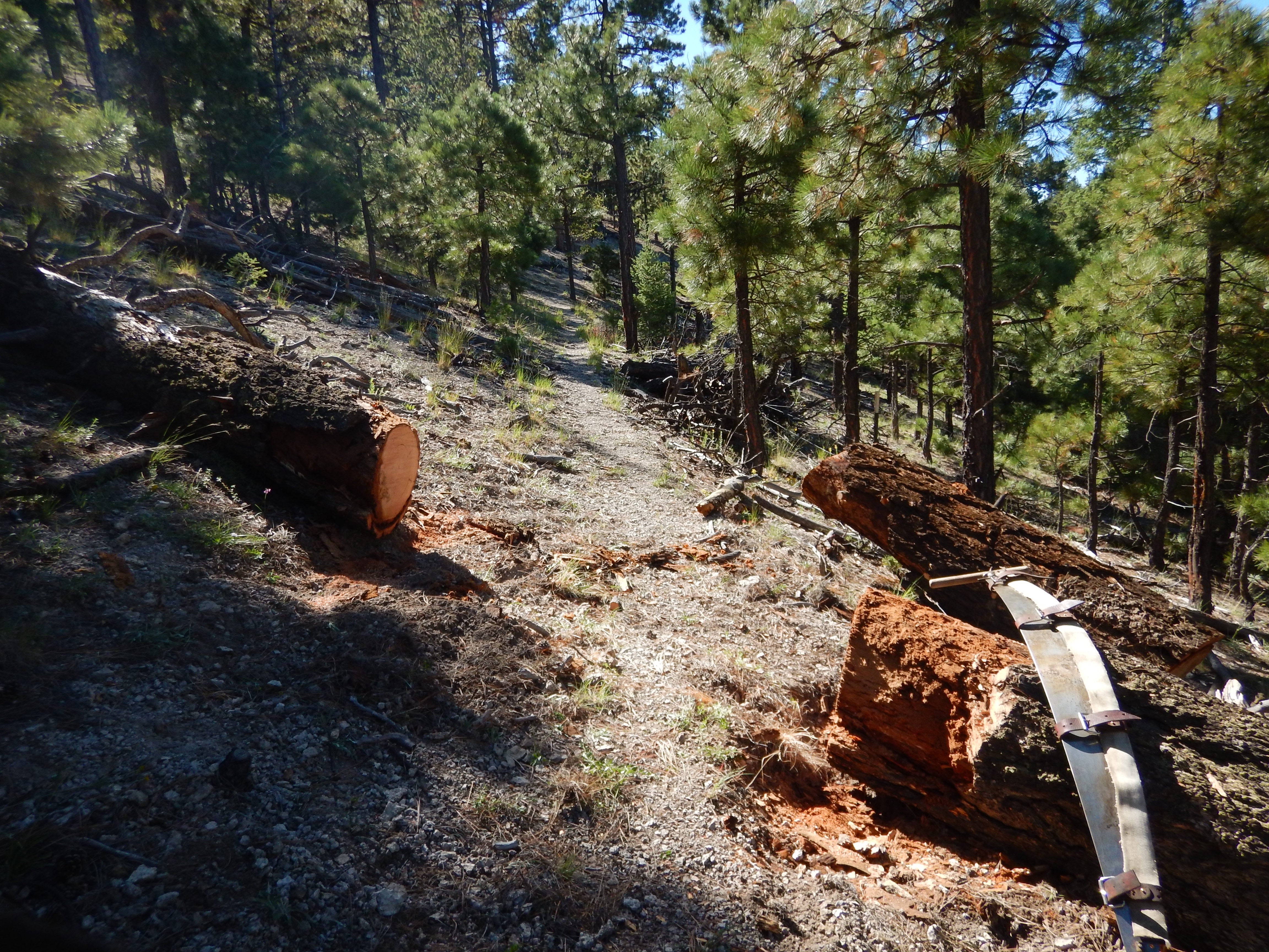 Gila wilderness clearance trails